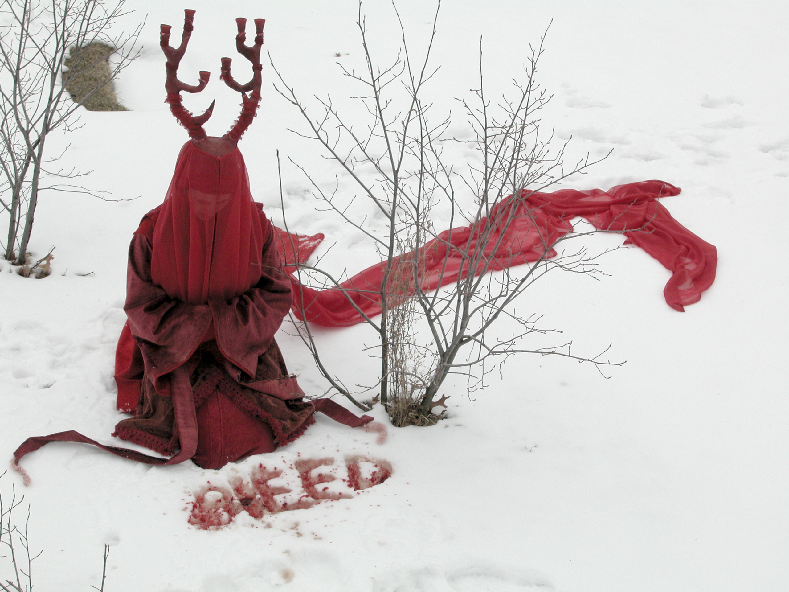 Vigil Deer action, blood writing in snow.  Albany NY, February 2005. (photo: Rebecca Rentz).